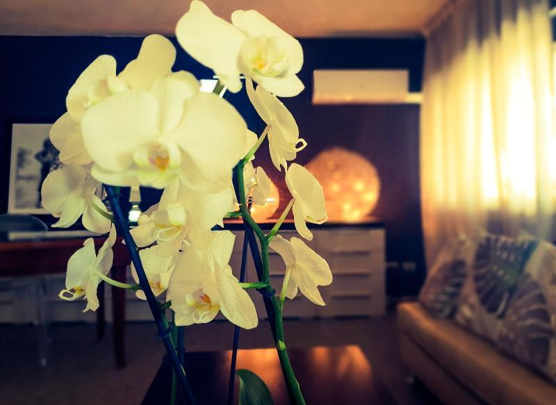 Hotel Caraibi ミラノ・マリッティマ エクステリア 写真